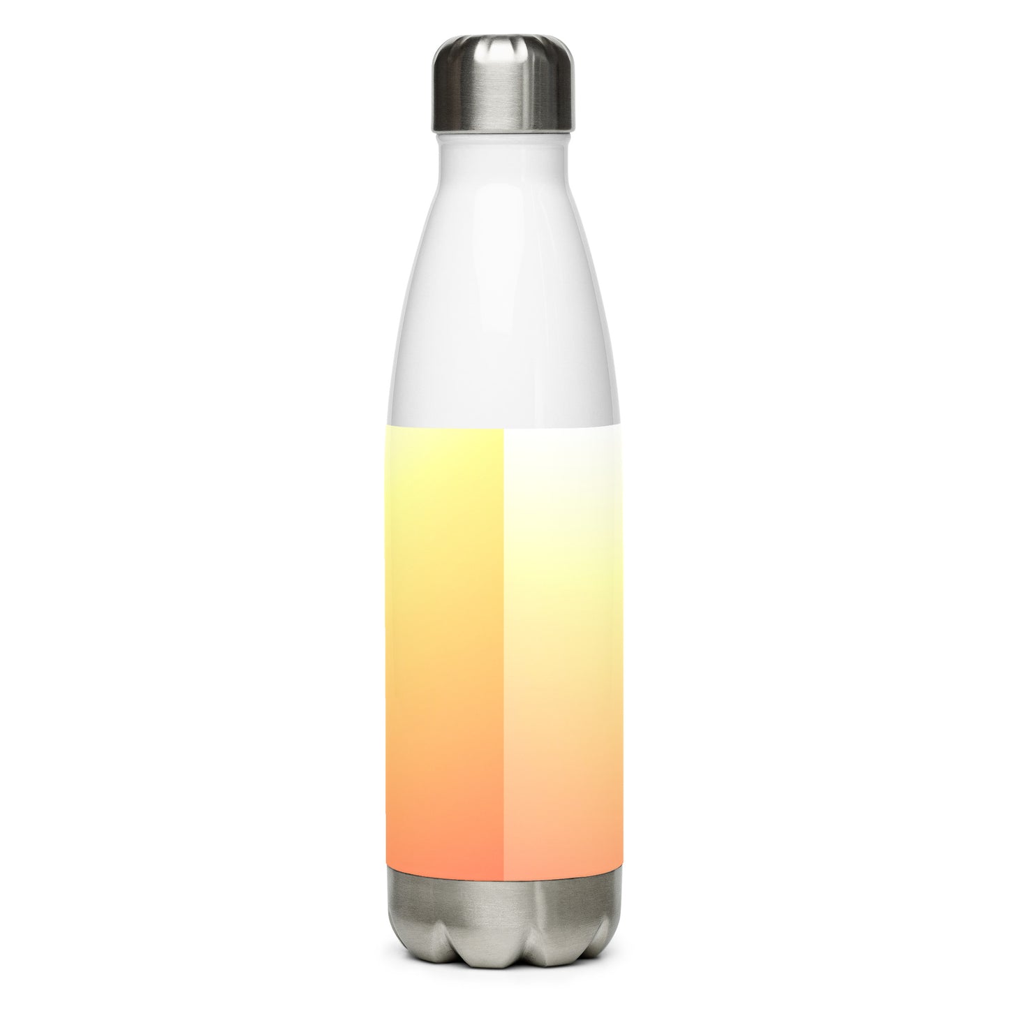 Stainless steel water bottle