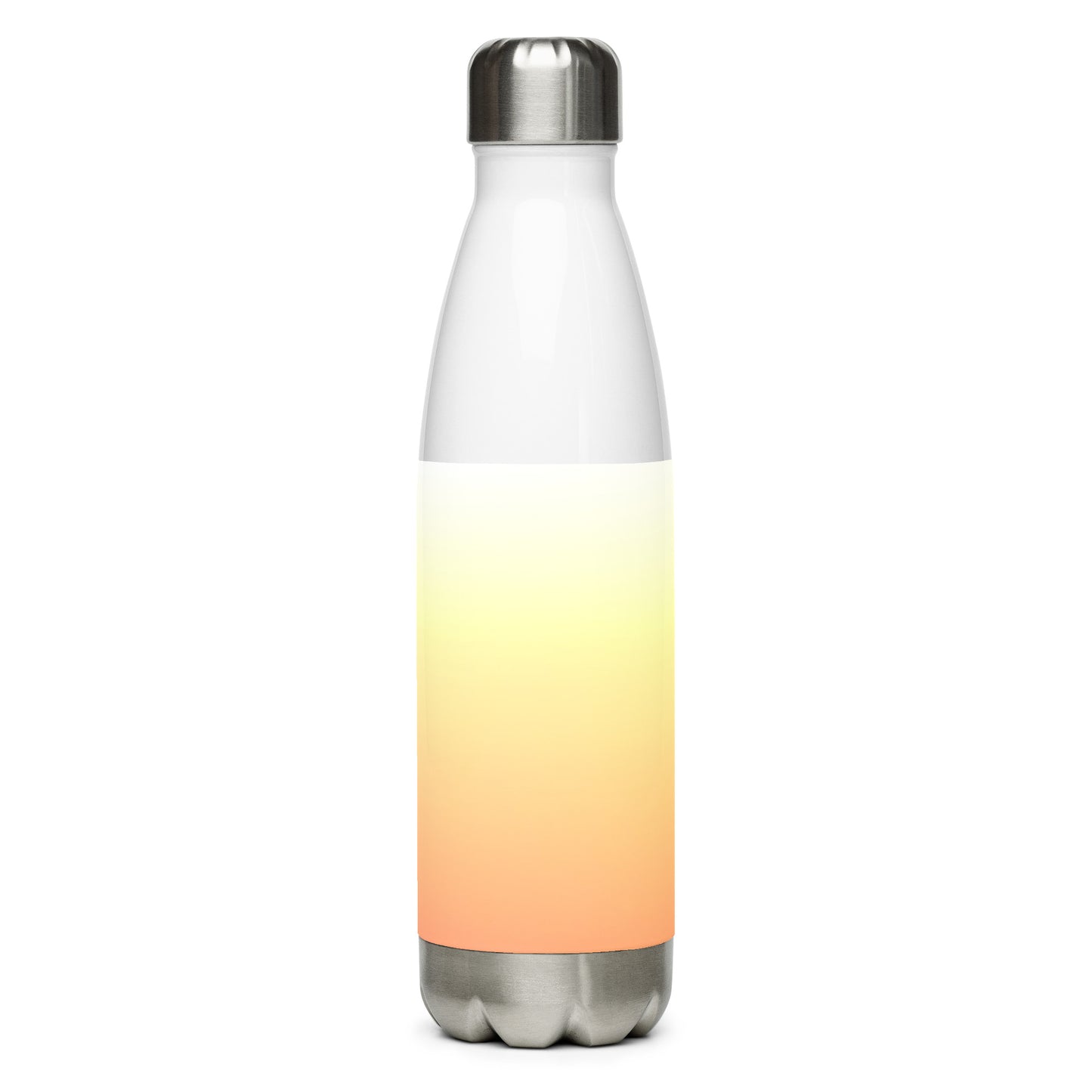 Stainless steel water bottle