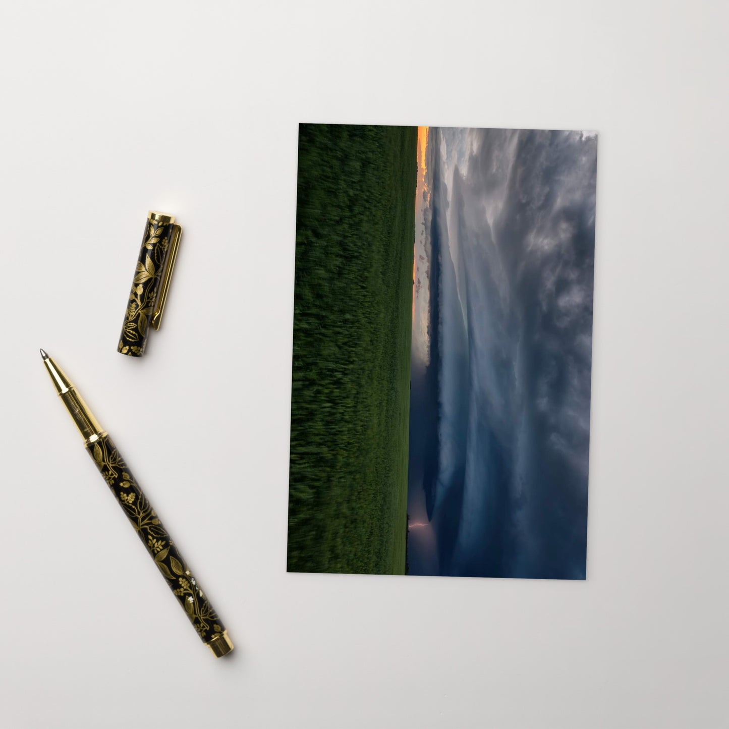 MF morning series - prairie light - Postcard