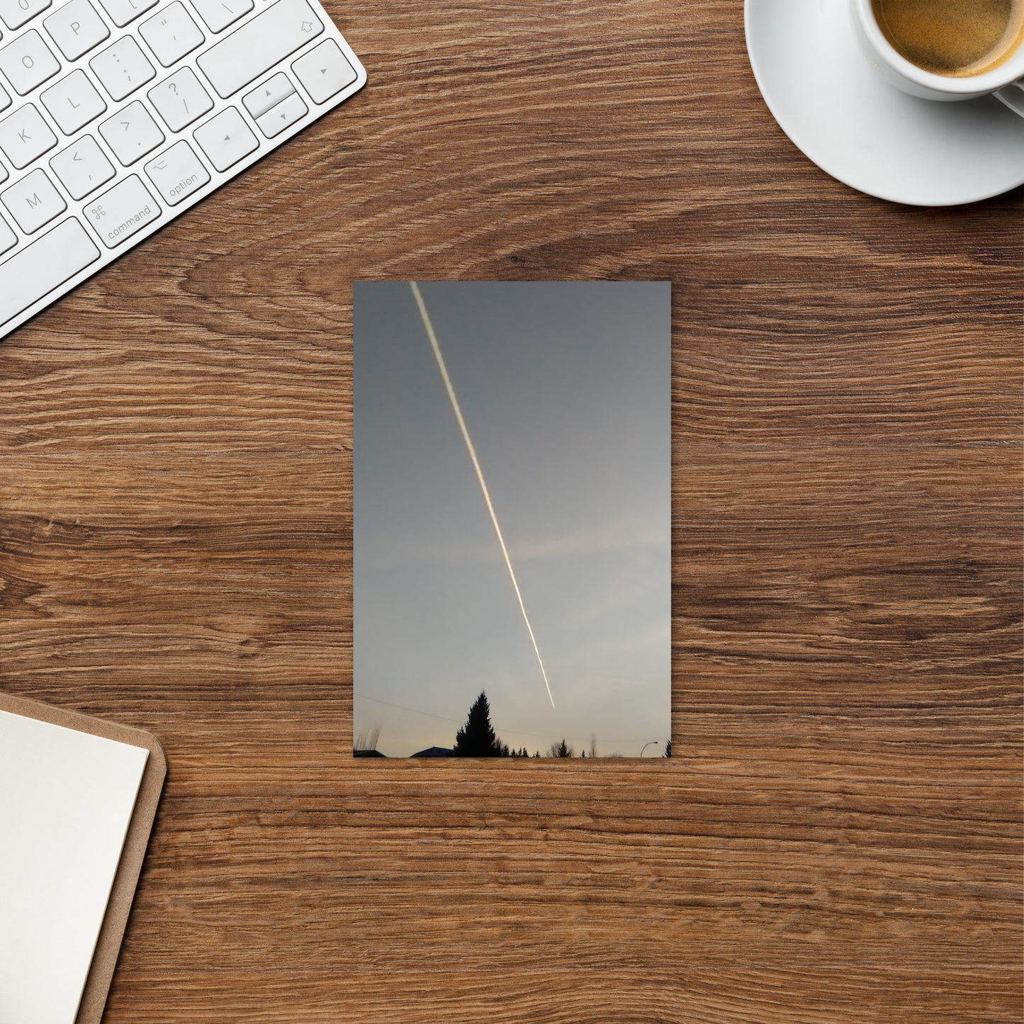 MF morning series - fly over - Postcard