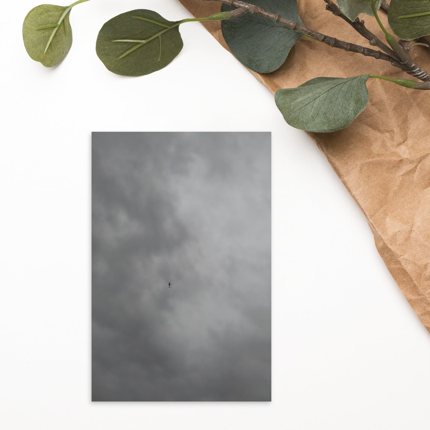 MF morning series - sky high - Postcard